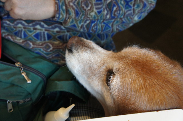 ファイル 2198-3.jpg