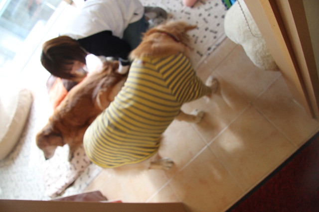 ファイル 2200-1.jpg