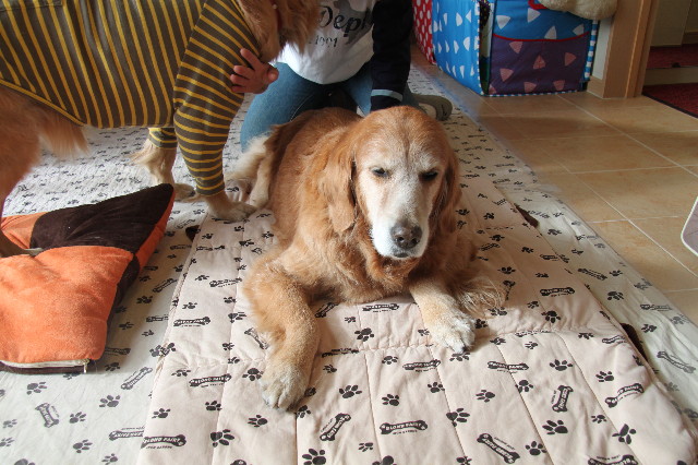 ファイル 2200-2.jpg