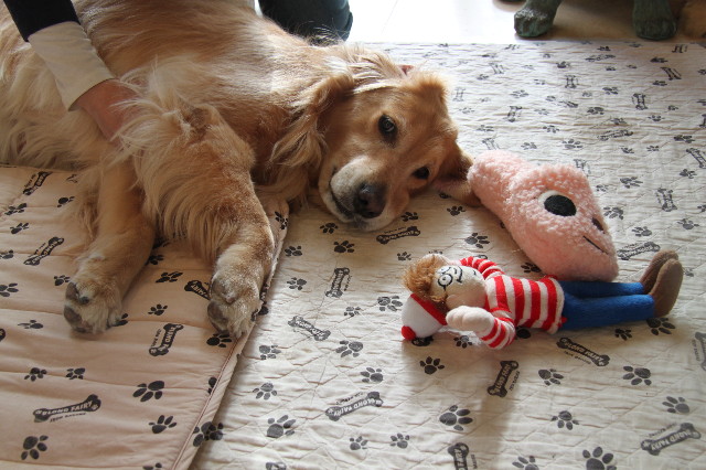 ファイル 2200-3.jpg