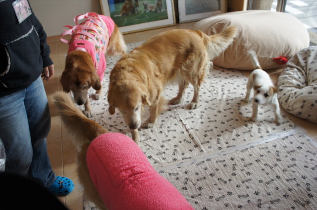 ファイル 2201-2.jpg