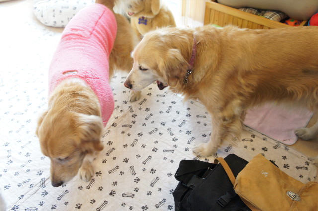 ファイル 2201-3.jpg