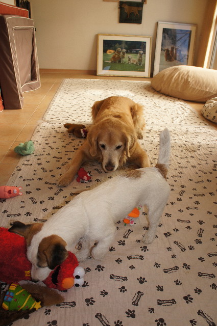 ファイル 2201-4.jpg