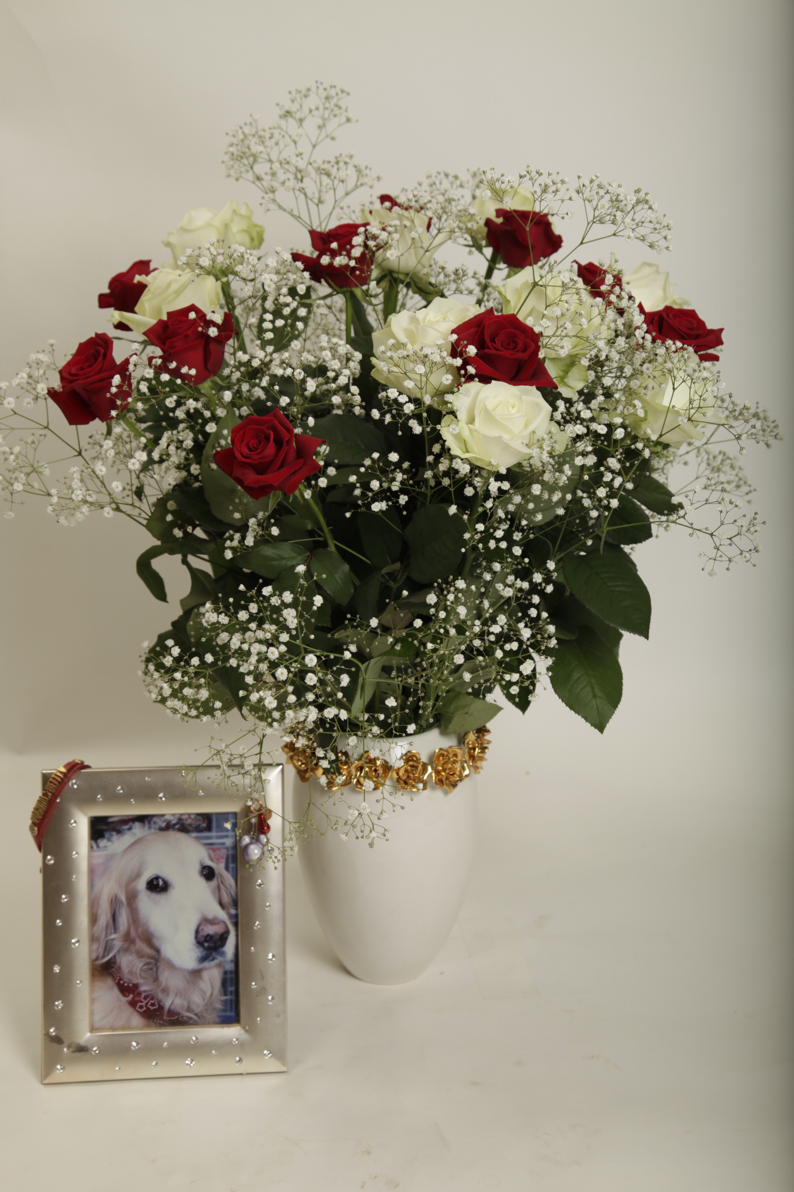 ファイル 2202-1.jpg