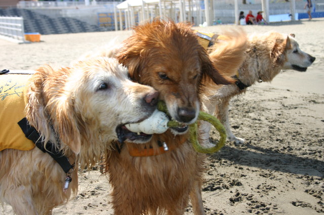 ファイル 2202-3.jpg