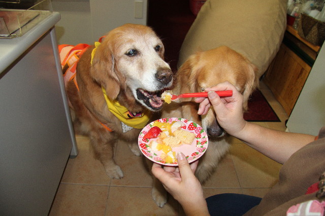 ファイル 2202-5.jpg