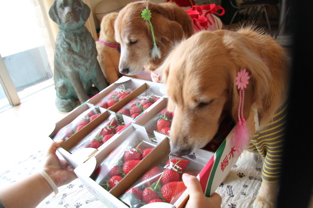 ファイル 2203-3.jpg