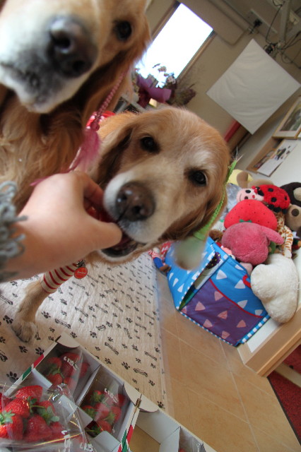 ファイル 2203-4.jpg