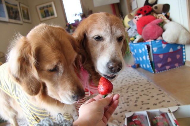 ファイル 2203-5.jpg