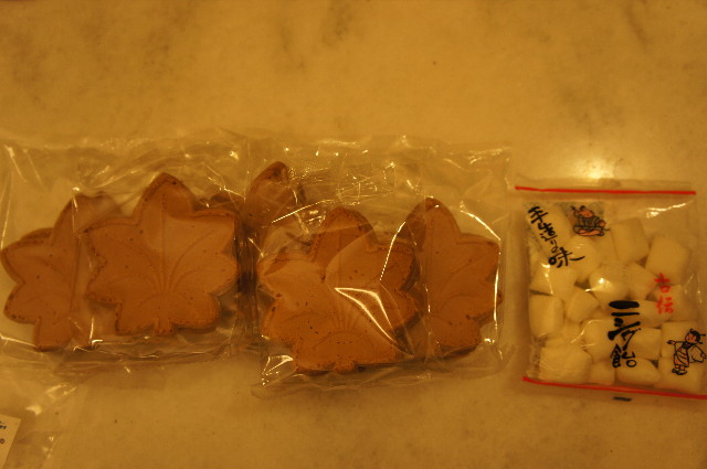 ファイル 2205-5.jpg