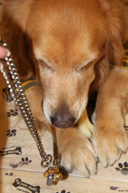 ファイル 2206-2.jpg