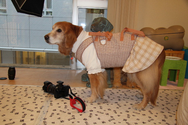 ファイル 2206-4.jpg