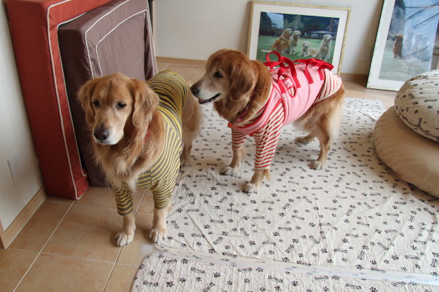 ファイル 2206-5.jpg