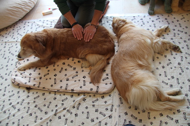 ファイル 2208-3.jpg