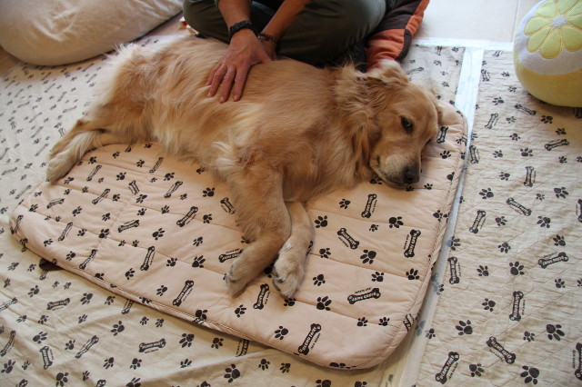 ファイル 2208-5.jpg