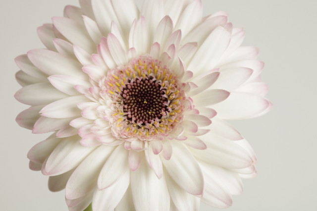 ファイル 2210-1.jpg