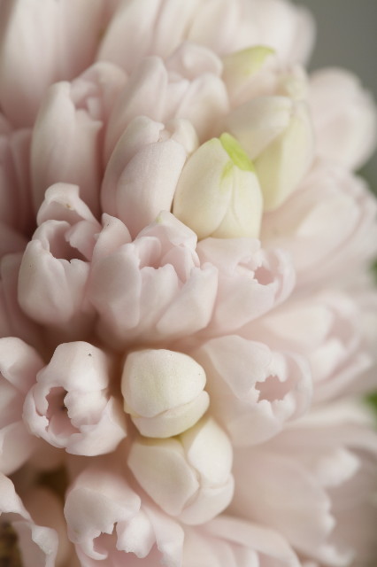 ファイル 2210-2.jpg