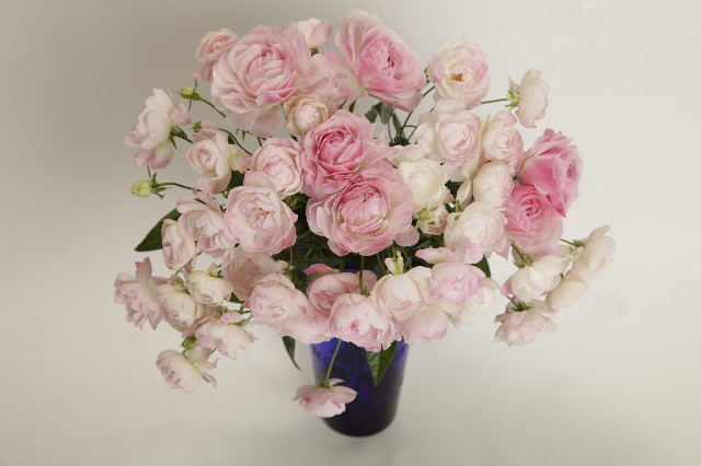 ファイル 2210-5.jpg