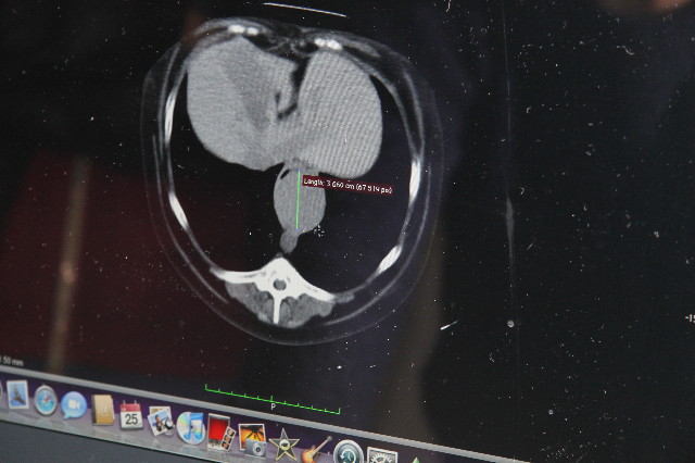 ファイル 2211-2.jpg