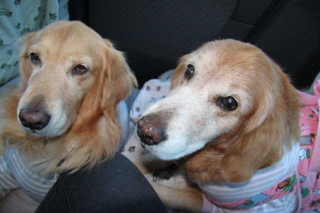 ファイル 2211-4.jpg