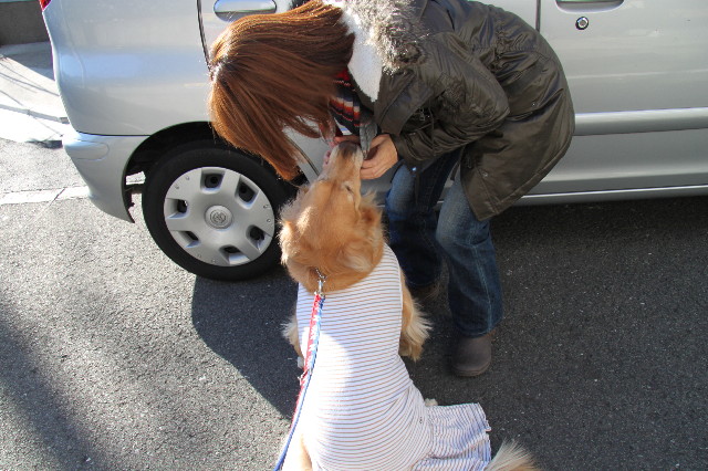 ファイル 2212-2.jpg