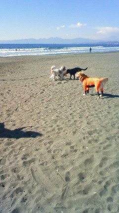 ファイル 2212-3.jpg