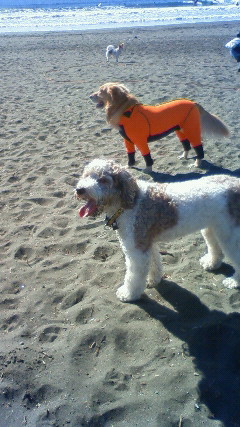 ファイル 2212-4.jpg