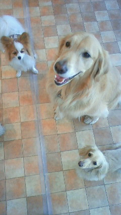 ファイル 2212-5.jpg