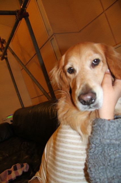 ファイル 2213-5.jpg