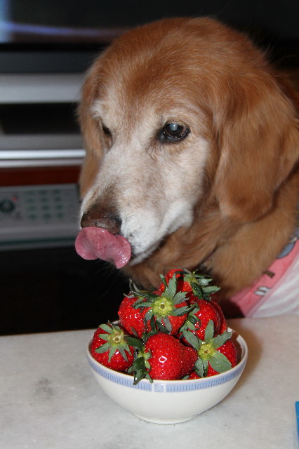 ファイル 2214-1.jpg