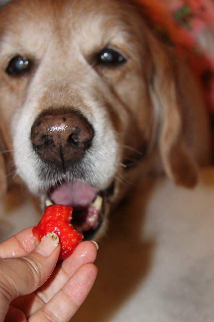 ファイル 2214-2.jpg