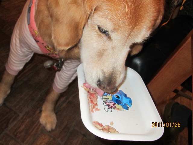 ファイル 2214-4.jpg