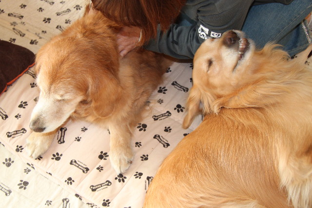 ファイル 2215-3.jpg