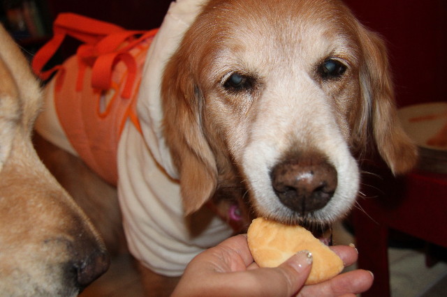 ファイル 2215-5.jpg