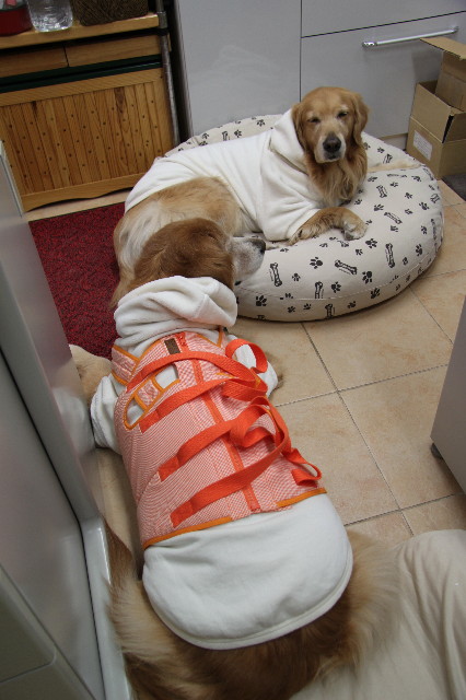 ファイル 2216-3.jpg