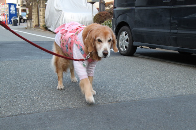 ファイル 2217-1.jpg