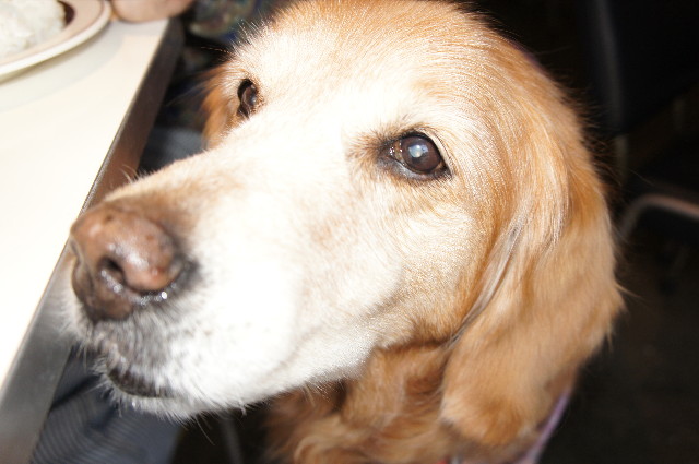 ファイル 2217-5.jpg