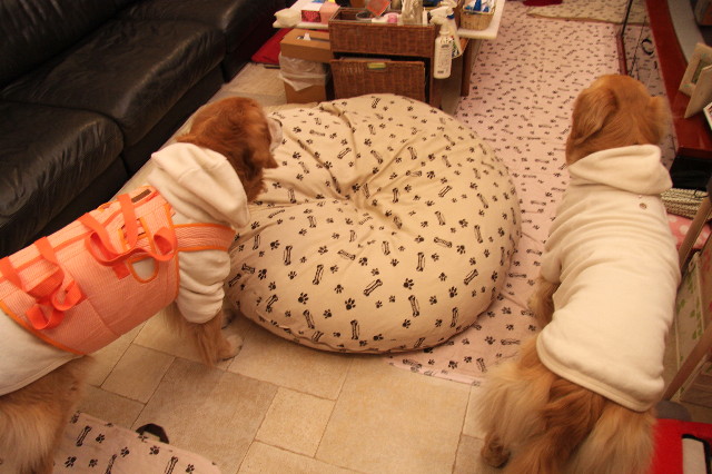 ファイル 2218-4.jpg