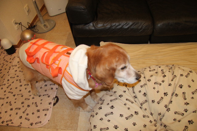 ファイル 2218-5.jpg