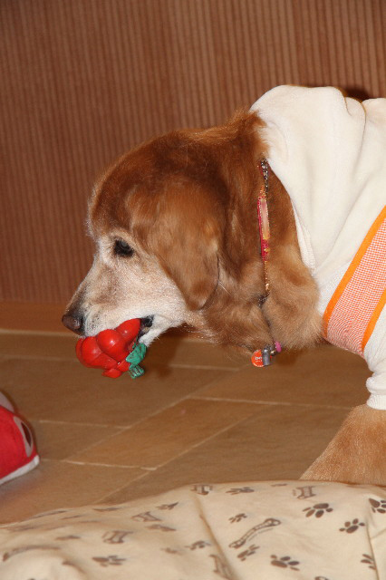 ファイル 2219-2.jpg