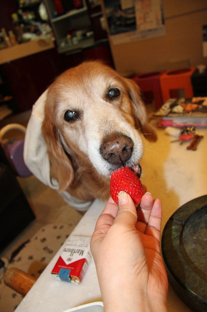 ファイル 2219-4.jpg