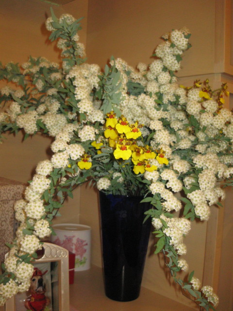 ファイル 222-1.jpg