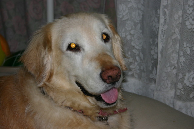 ファイル 222-4.jpg