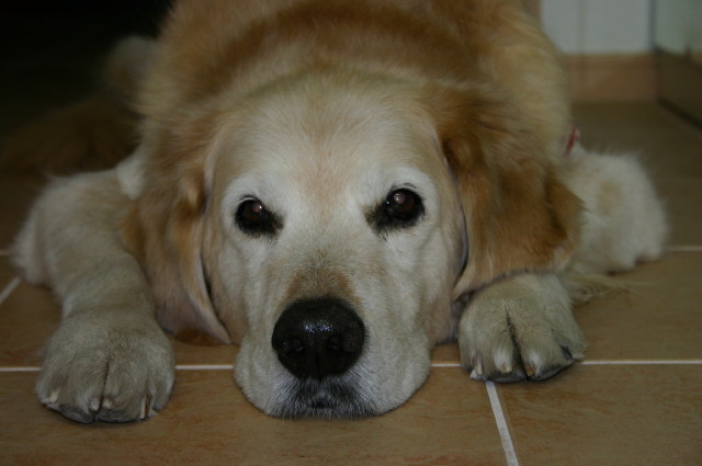 ファイル 222-5.jpg