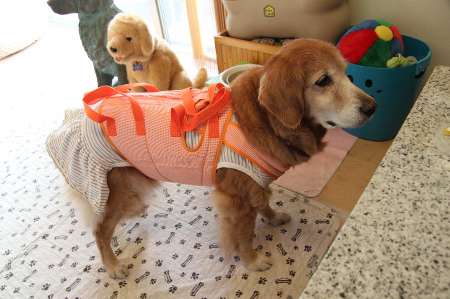 ファイル 2220-5.jpg