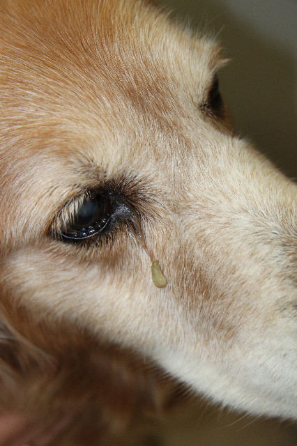 ファイル 2222-1.jpg