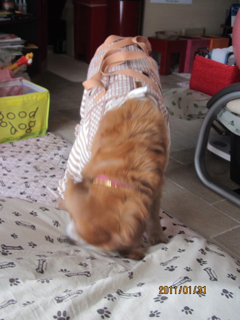 ファイル 2222-2.jpg