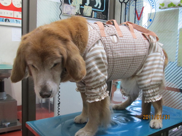 ファイル 2222-3.jpg