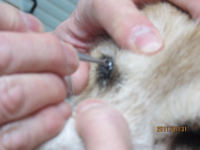 ファイル 2222-4.jpg