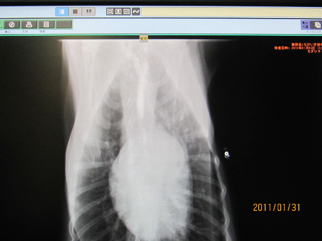 ファイル 2223-2.jpg